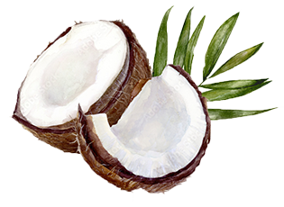 kokosnuss