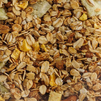 Kiwi Mango Granola - Detail Kiwi Mango Granola - Detail